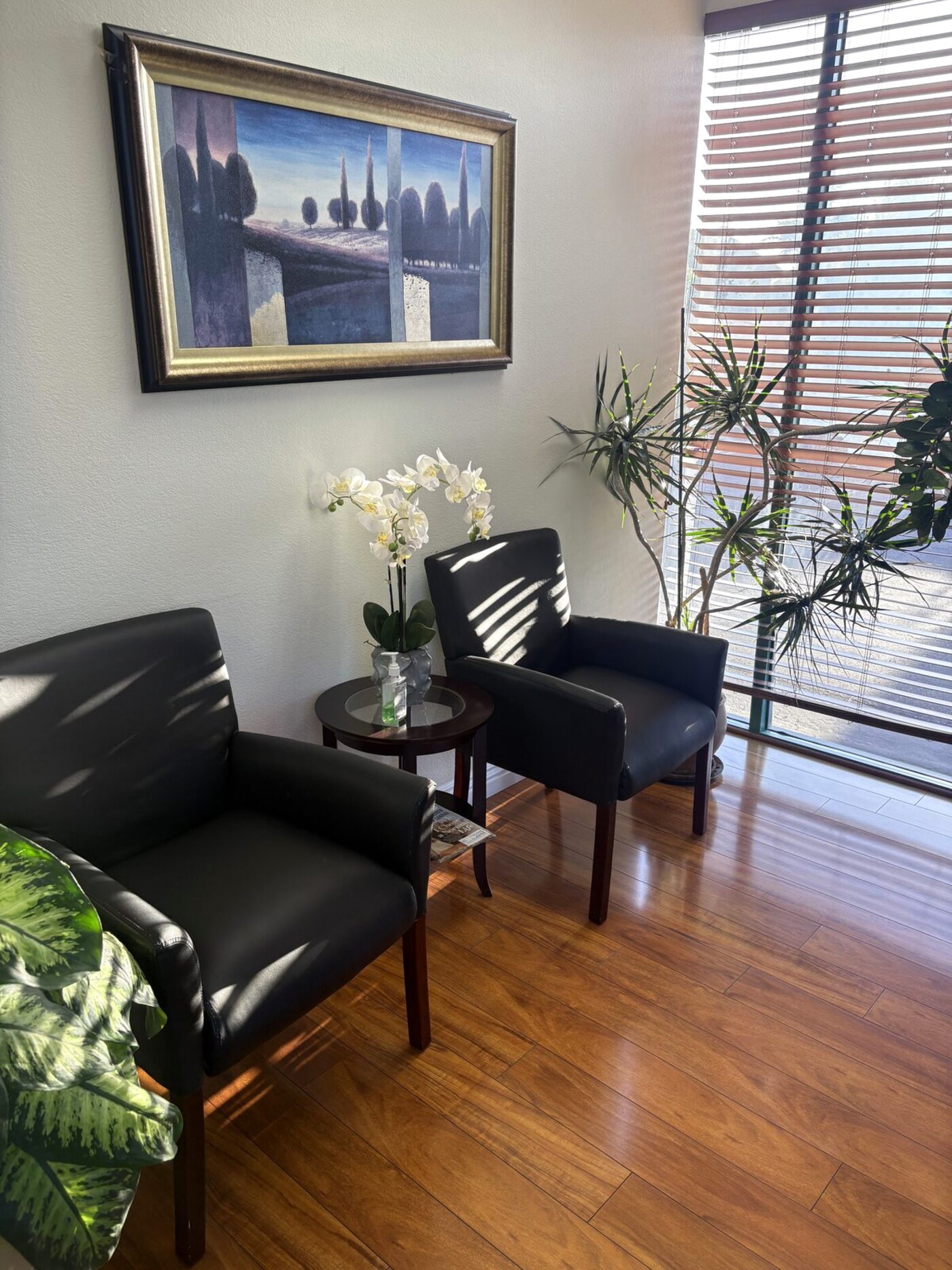 Waiting room at Dental Care of Torrance